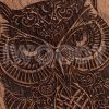 Owl | Makore